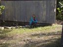 Filename=The_Truels_28629.JPG
Filesize=548KiB
Dimensions=1600x1200
Date added=Dec 01, 2013 The_Truels_28629.JPG